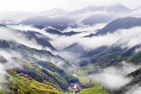 哈尔滨中央大街铺上地毯了：城市历史与现代融合的独特风景